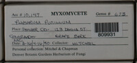 Image Associated With the Occurence